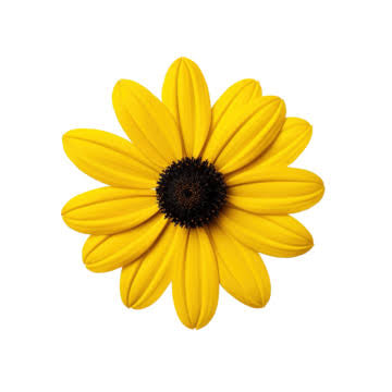 Personalized Poker Chip Ball Mark - per 10